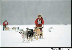 Country Lore: Dog Sledding Image